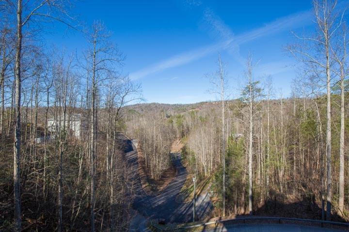 Apple Bear Holiday home Gatlinburg